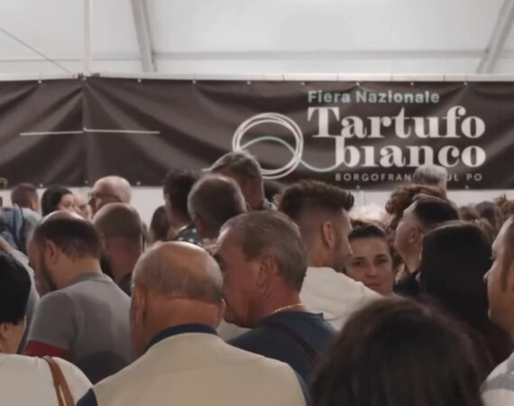 Opportunità per aziende e sponsor alla 31ª Fiera Nazionale del Tartufo Bianco di Borgofranco sul Po