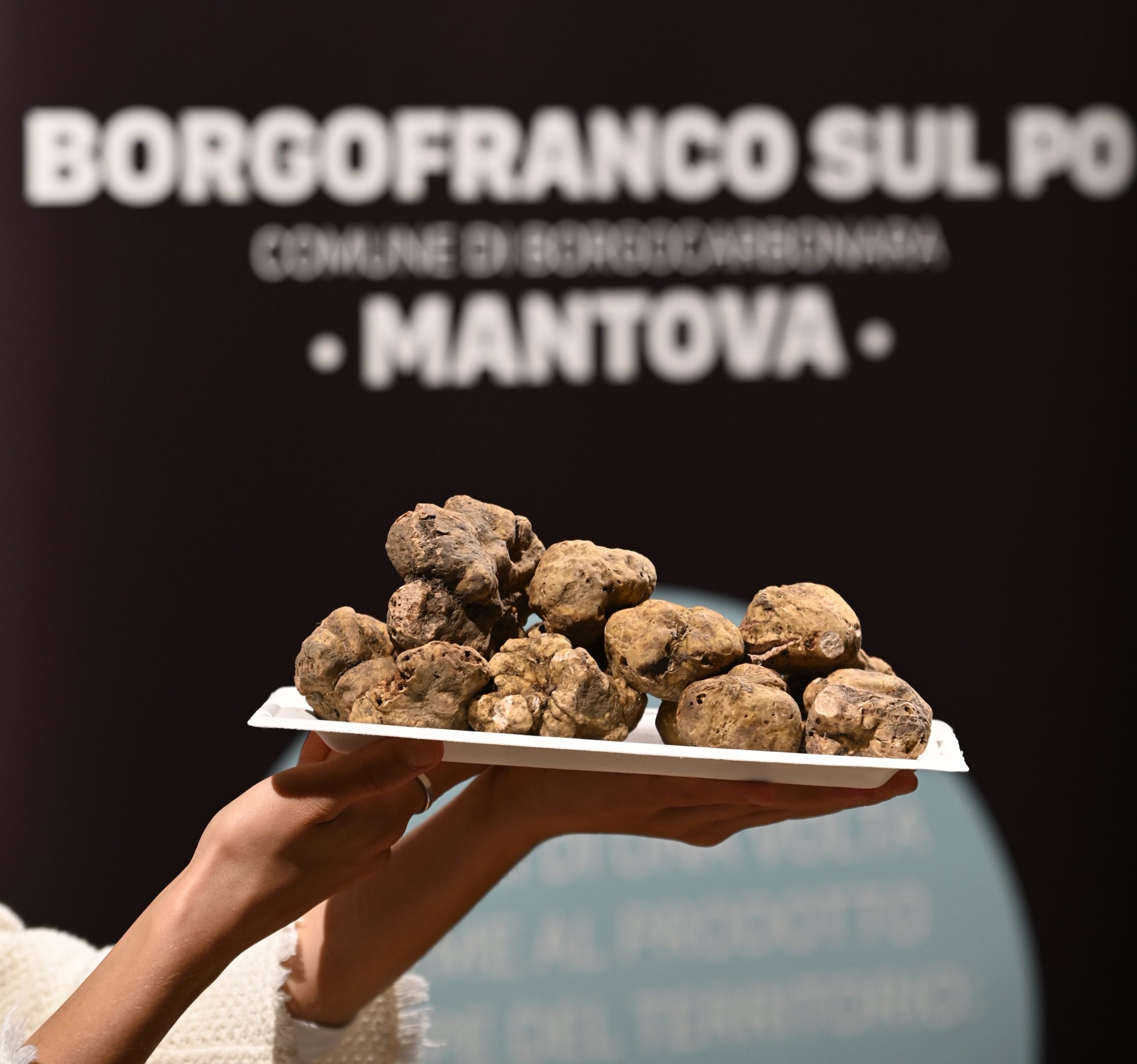 locandina Fiera Nazionale del Tartufo Bianco