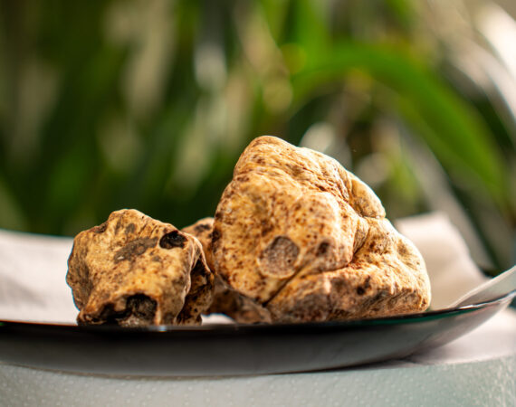 Torna la Fiera Nazionale del Tartufo Bianco di Borgofranco sul Po: dal 2 ottobre la 32ª edizione